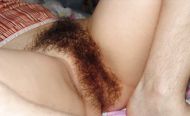 Haarige muschi fotos